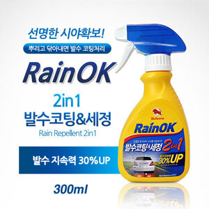 불스원 레인OK 2IN1 발수코팅n세정(분무기) 300ml